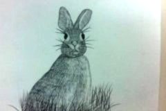 Dessin-jeunes-2023-20240115