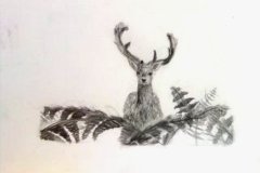 Dessin-jeunes-2023-20240116