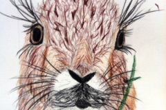 Dessin-jeunes-2023-20240119