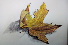 Dessin-Feuilles-dautomne-Crayon-de-couleur-20190096418