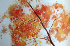 Stage-Aquarelle-octobre-202402