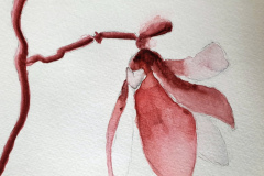 Stage-Aquarelle-octobre-202405