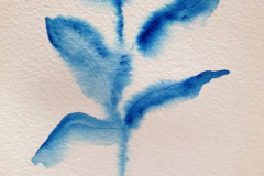 Stage-Aquarelle-octobre-202406