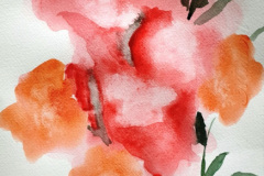 Stage-Aquarelle-octobre-202410