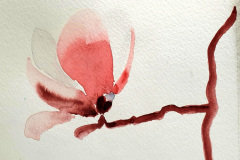 Stage-Aquarelle-octobre-202411