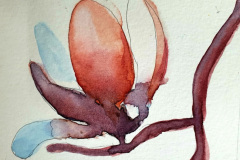Stage-Aquarelle-octobre-202416
