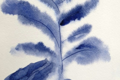 Stage-Aquarelle-octobre-202424