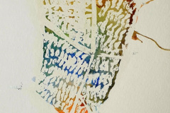 Stage-Aquarelle-octobre-202425