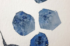 Stage-Aquarelle-octobre-202430