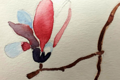 Stage-Aquarelle-octobre-202436