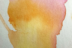 Stage-Aquarelle-octobre-202443
