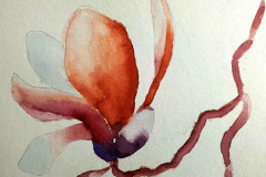 Stage-Aquarelle-octobre-202444