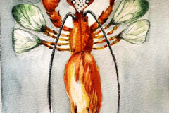 Stage-Bestiaire-fantastique-octobre-202409