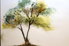 Stage-les-arbres-octobre-202417