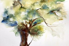 Stage-les-arbres-octobre-202418
