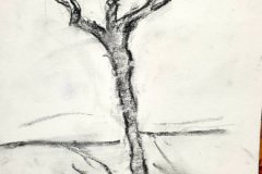 Stage-les-arbres-octobre-202419