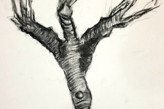 Stage-les-arbres-octobre-202421