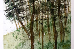 Stage-les-arbres-octobre-202422