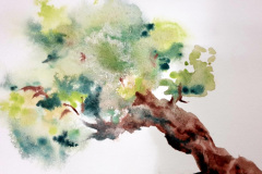 Stage-les-arbres-octobre-202423