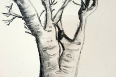 Stage-les-arbres-octobre-202425