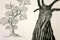 Stage-les-arbres-octobre-202426
