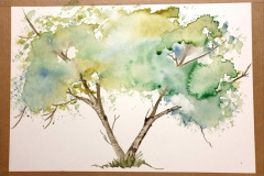 Stage-les-arbres-octobre-202434
