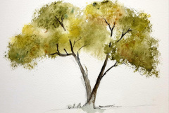 Stage-les-arbres-octobre-202435