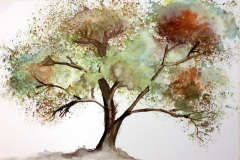 Stage-les-arbres-octobre-202437