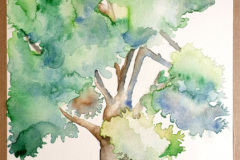 Stage-les-arbres-octobre-202438
