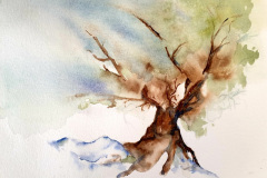 Stage-les-arbres-octobre-202439