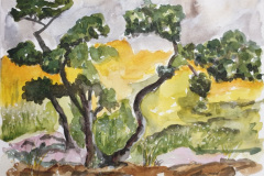 Stage-les-arbres-octobre-202440
