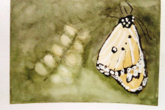 Papillon-et-ambiance-fleurie-aquarelle-avril-202301