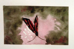 Papillon-et-ambiance-fleurie-aquarelle-avril-202303