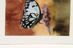 Papillon-et-ambiance-fleurie-aquarelle-avril-202304