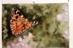 Papillon-et-ambiance-fleurie-aquarelle-avril-202312