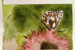 Papillon-et-ambiance-fleurie-aquarelle-avril-202314