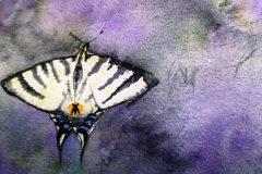 Papillon-et-ambiance-fleurie-aquarelle-avril-202319