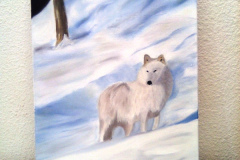 Stage-Les-animaux-et-la-neige-Fevrier-202202