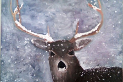 Stage-Les-animaux-et-la-neige-Fevrier-202212