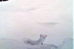 Stage-Les-animaux-et-la-neige-Fevrier-202213