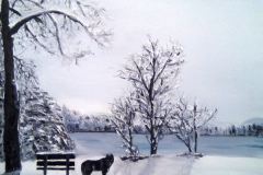 Stage-Les-animaux-et-la-neige-Fevrier-202214