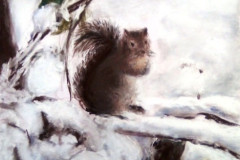 Stage-Les-animaux-et-la-neige-Fevrier-202218