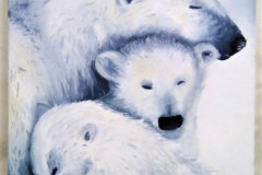 Stage-Les-animaux-et-la-neige-fevrier-2022