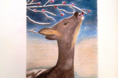 Stage-dessin-Les-animaux-et-la-neige-fevrier2022
