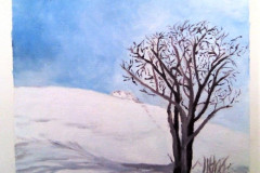 Stage-Recherche-sur-la-couleur-le-blanc-la-neige-Fevrier-20220120
