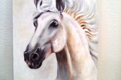 Stage-Recherche-sur-la-couleur-le-blanc-la-neige-Fevrier-20220126